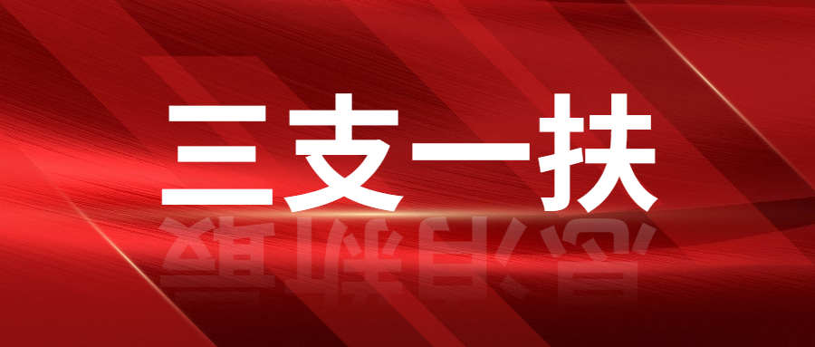 2022年上海市高校畢業(yè)生“三支一扶”計劃招募公告